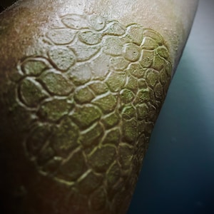 Gekapselte Silikon SFX Scales Prothetik: Cosplay, Film, Bühne, TV