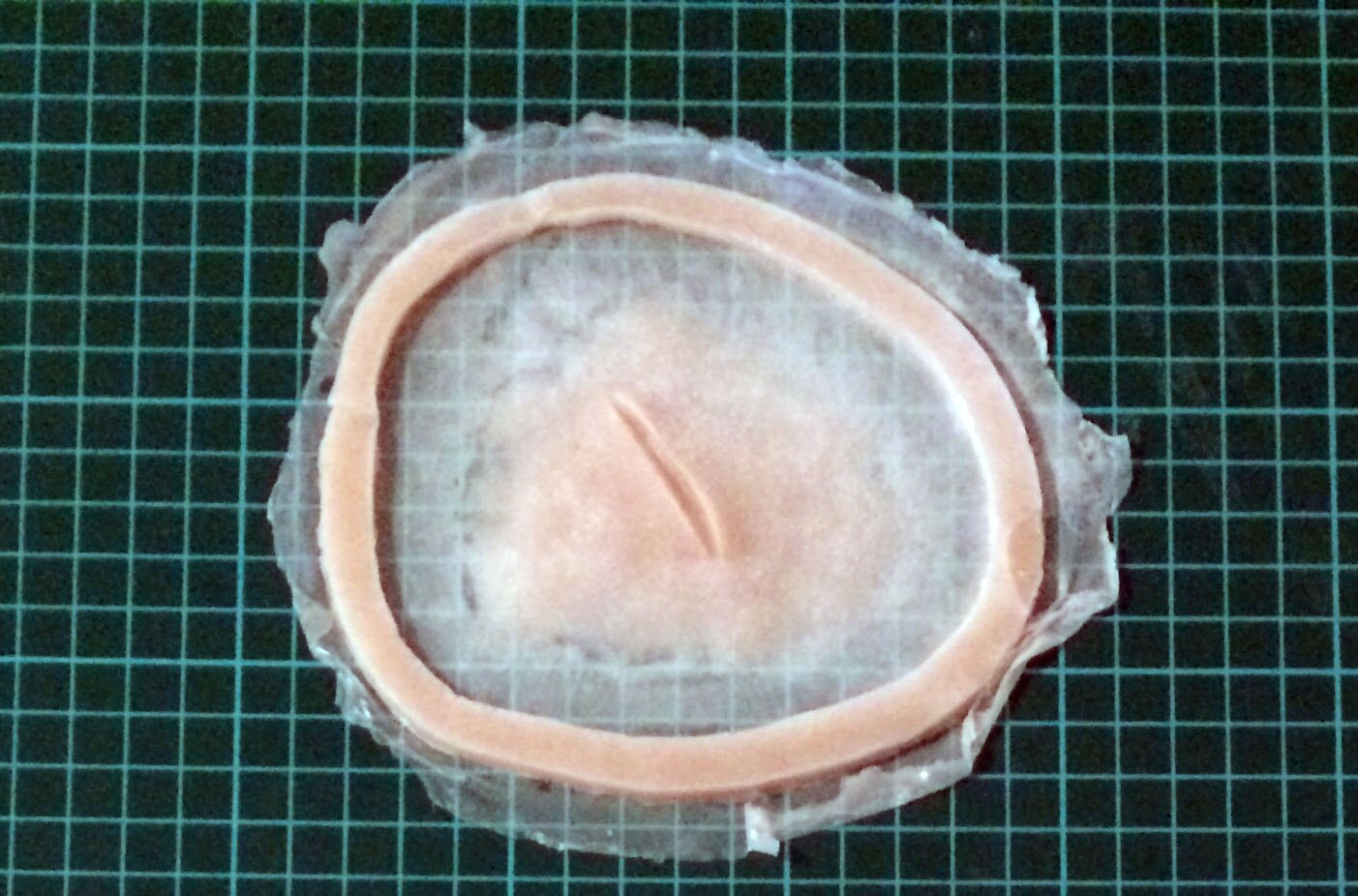 Silicone SFX Prosthetic Wound - Etsy