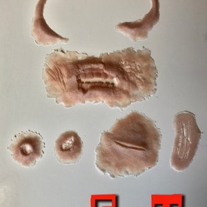 Zombie prosthetic kit suitable for creating an undead look similar to the Walking Dead