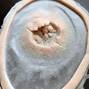 Unpainted Silicone Infected Wound Prosthetic - Halloween Cosplay