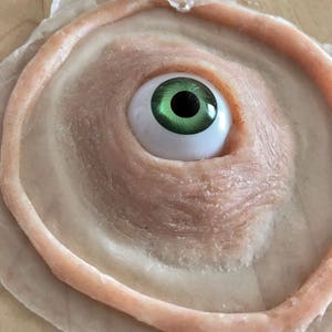Third eye silicone prosthetic. Create a cyclops look anywhere on your body with this sfx piece.