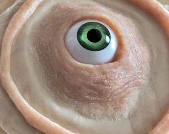 Third eye silicone prosthetic. Create a cyclops look anywhere on your body with this sfx piece.