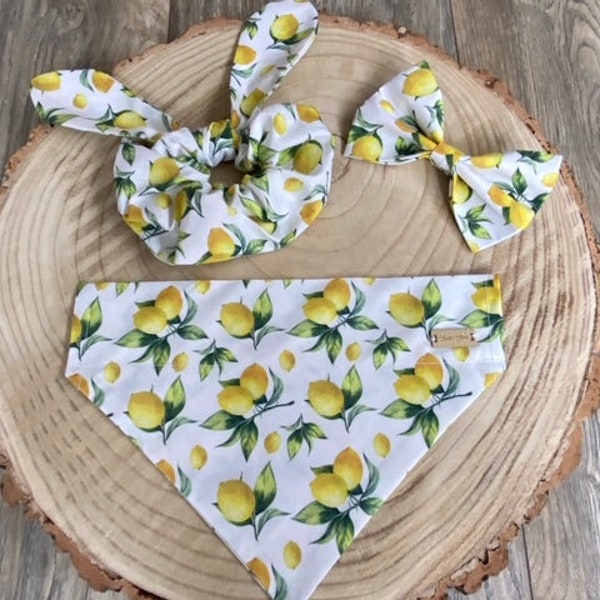 Sweet Lemons Slide sur Bandana avec des accessoires assortis. Nœud papillon de chien. Scrunchie.  Maman chien. Correspondance avec votre chien. Cadeau de chien