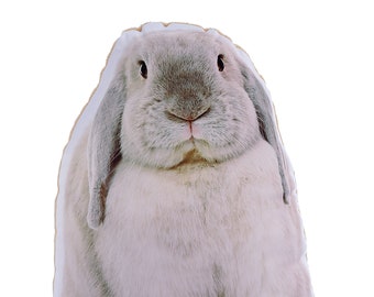 Bunny Shaped Pillow Etsy