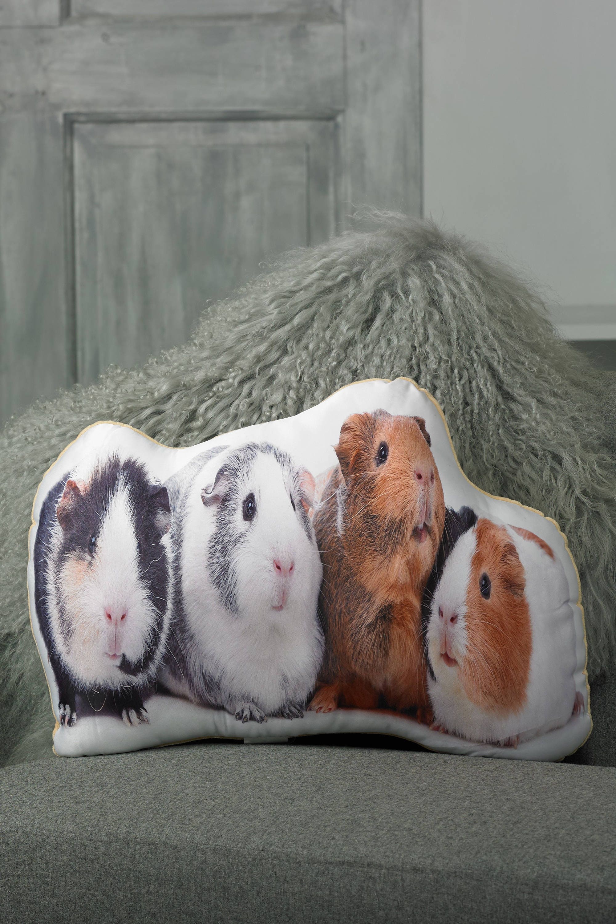 Adorable Guinea Pig Shaped Cushion Etsy