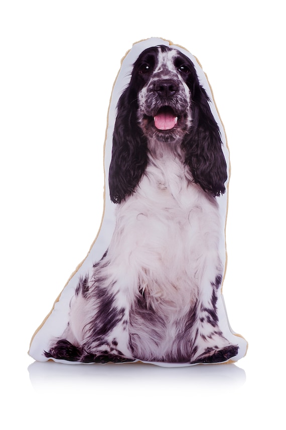 Adorable Negro Blanco Cocker Spaniel En Forma De Cojin Midi Etsy Adorable Negro Blanco Cocker Spaniel En Forma De Cojin Midi Etsy
