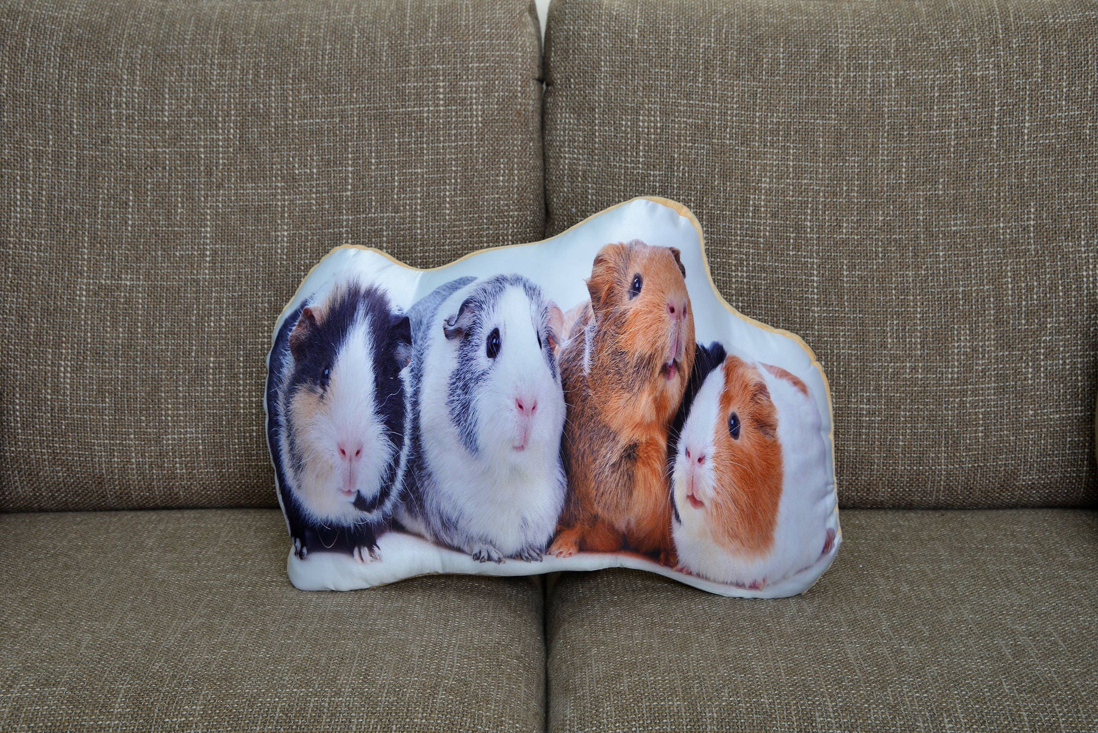 Adorable Guinea Pig Shaped Cushion Etsy