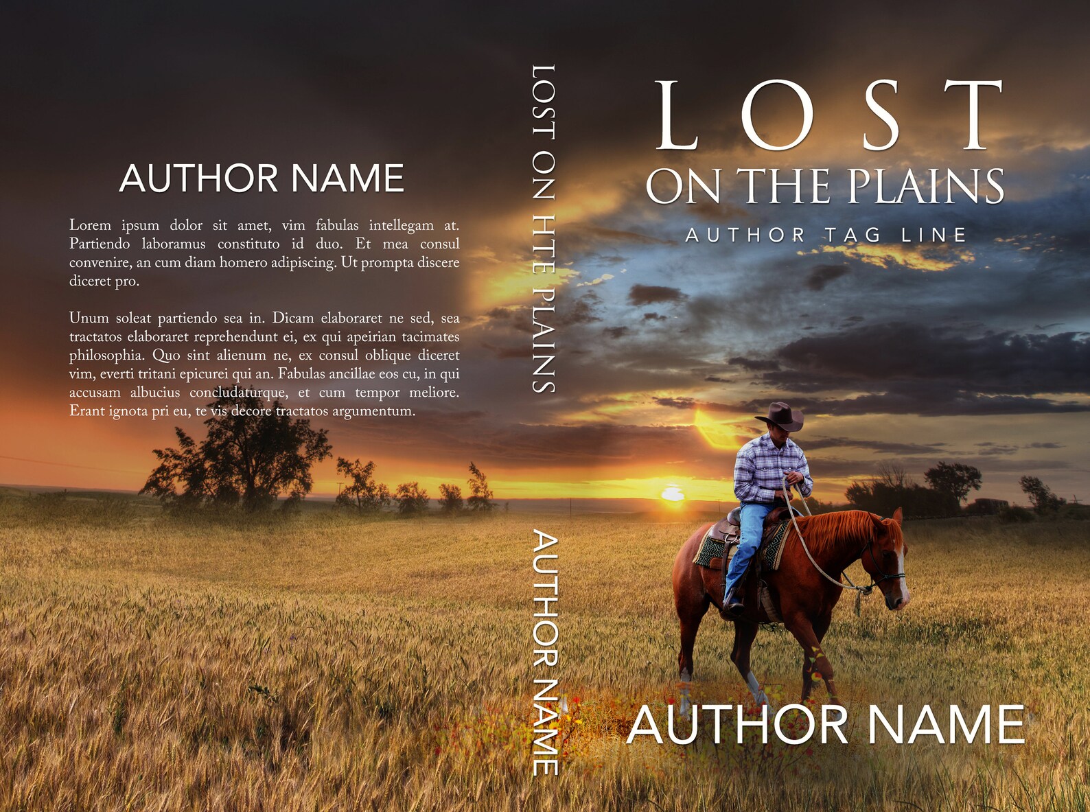 Western Contemporary or Historical Premade Book Cover Design Etsy UK