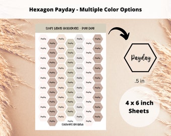 Payday Hexagon Sticker Sheet | Functional Finance Stickers | Payday Planner Stickers | Journal Budget Stickers | Multiple Color Options |