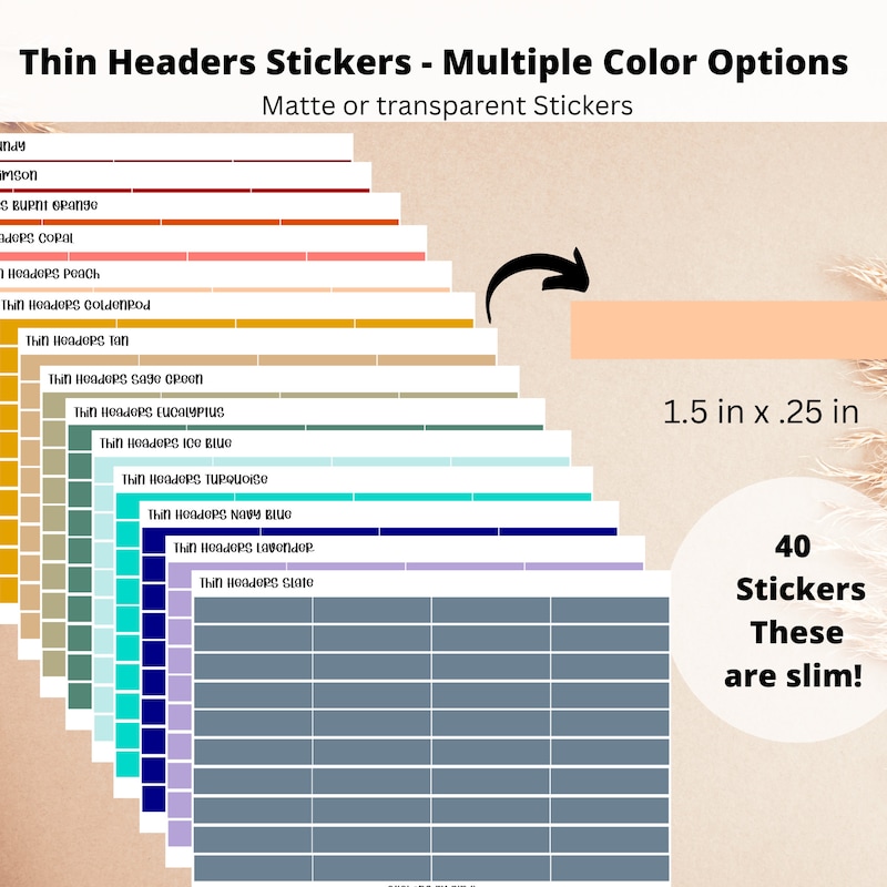 5 Inch Colored Stickers - Etsy