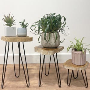 Gamal wood plant stands, set of three, rustic, handcrafted, metal hairpin legs