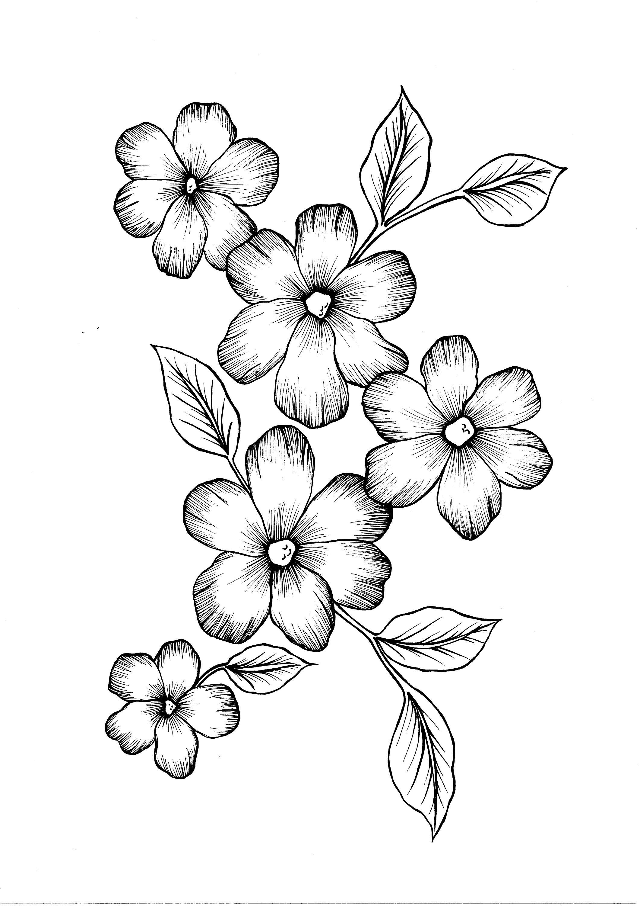 Wild Flowers PDF Coloring Page - Etsy