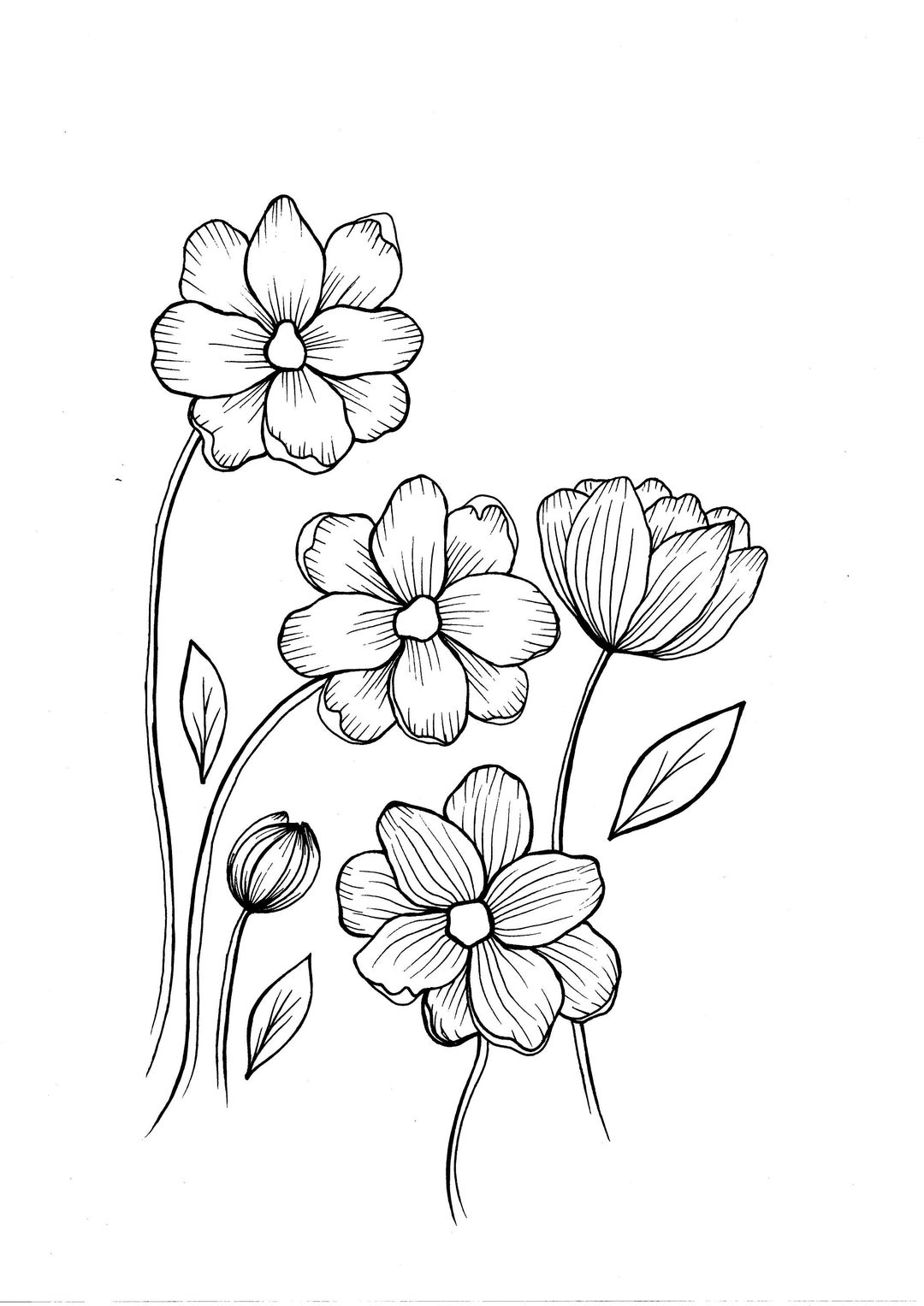 Wild Flowers PDF Coloring Page Etsy
