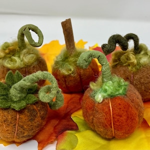 May include: A collection of handmade felt pumpkins in shades of orange and brown, with green stems and curly tendrils. The pumpkins are arranged on a bed of colorful autumn leaves, creating a festive fall display.