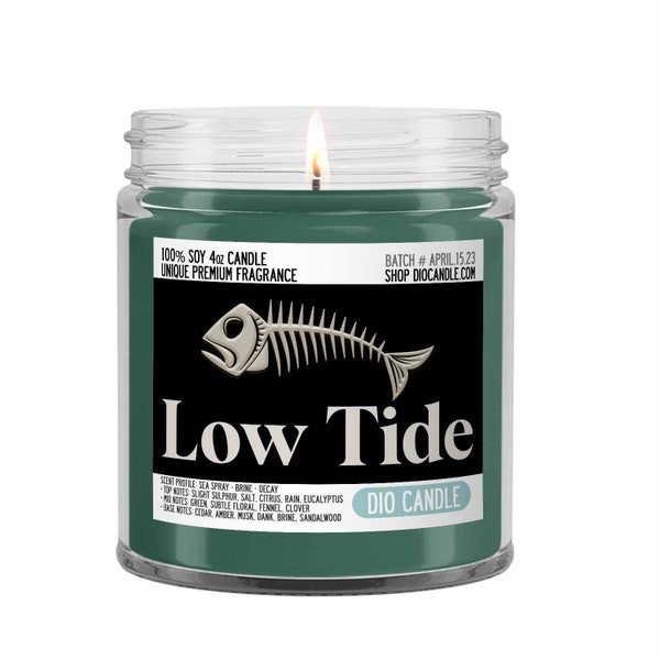 Low Tide Scented Candle - Smells Like Sea Spray, Brine and Decay - Dio Candle