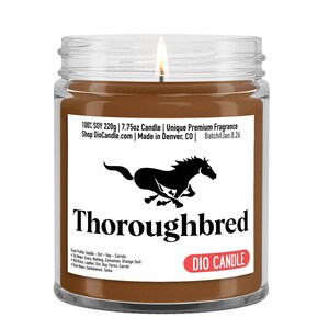 Horse Candle: Saddle Leather, Hay, and Dirt Scent - Equestrian Gift