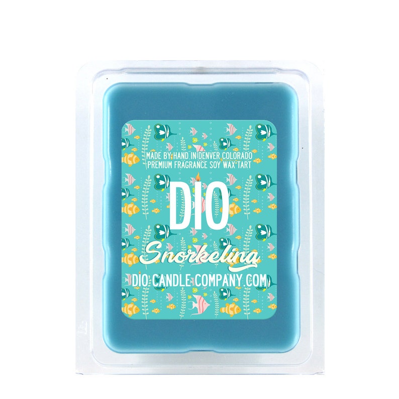 Lasts Longer Snorkeling Vacation Scented Wax Tart Premium Fragrance is Stronger Ocean and Coconut Sunscreen SIX 1 Vegan Soy Cubes