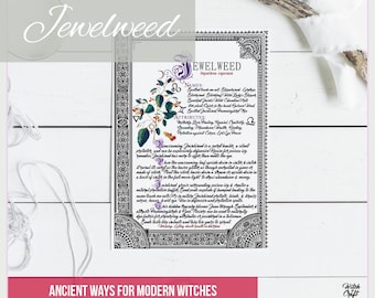 Jewelweed - INSTANT DOWNLOAD Book of Shadows Page: Single Page