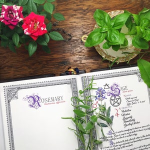 10 Herb Bundle 1 INSTANT DOWNLOAD Book of Shadows Pages : Sage, Lavender, Basil, Cinnamon, and more image 1