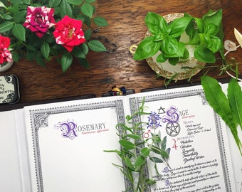 10 Herb Bundle #1  - INSTANT DOWNLOAD Book of Shadows Pages : Sage, Lavender, Basil, Cinnamon, and more