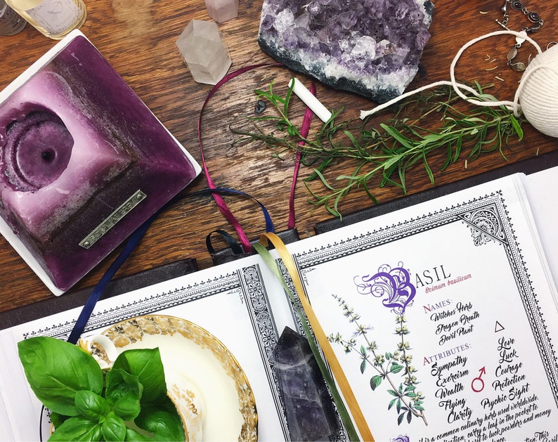 10 Herb Bundle 1 INSTANT DOWNLOAD Book of Shadows Pages : Sage, Lavender, Basil, Cinnamon, and more image 2