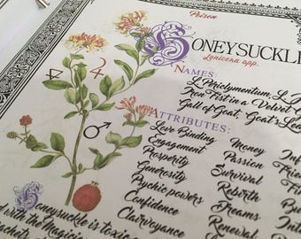 10 Herb Bundle #3  - INSTANT DOWNLOAD Book of Shadows Pages : Aloe, Vervain, Myrrh, Valerian, and more