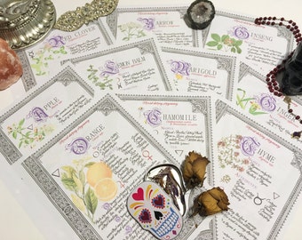 10 Herb Bundle #2  - INSTANT DOWNLOAD Book of Shadows Pages : Chamomile, Apple, Yarrow, Thyme, and more