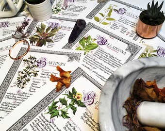 10 Herb Bundle #5  - INSTANT DOWNLOAD Book of Shadows Pages : Belladonna, Mandrake, Mugwort and more