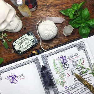 10 Herb Bundle 1 INSTANT DOWNLOAD Book of Shadows Pages : Sage, Lavender, Basil, Cinnamon, and more image 3