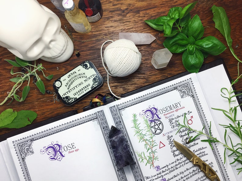 10 Herb Bundle 1 INSTANT DOWNLOAD Book of Shadows Pages : Sage, Lavender, Basil, Cinnamon, and more image 3