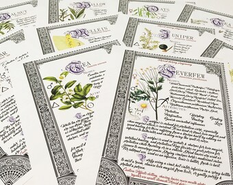 10 Herb Bundle #4  - INSTANT DOWNLOAD Book of Shadows Pages : Willow, Cedar, Mullein, Vanilla, and more