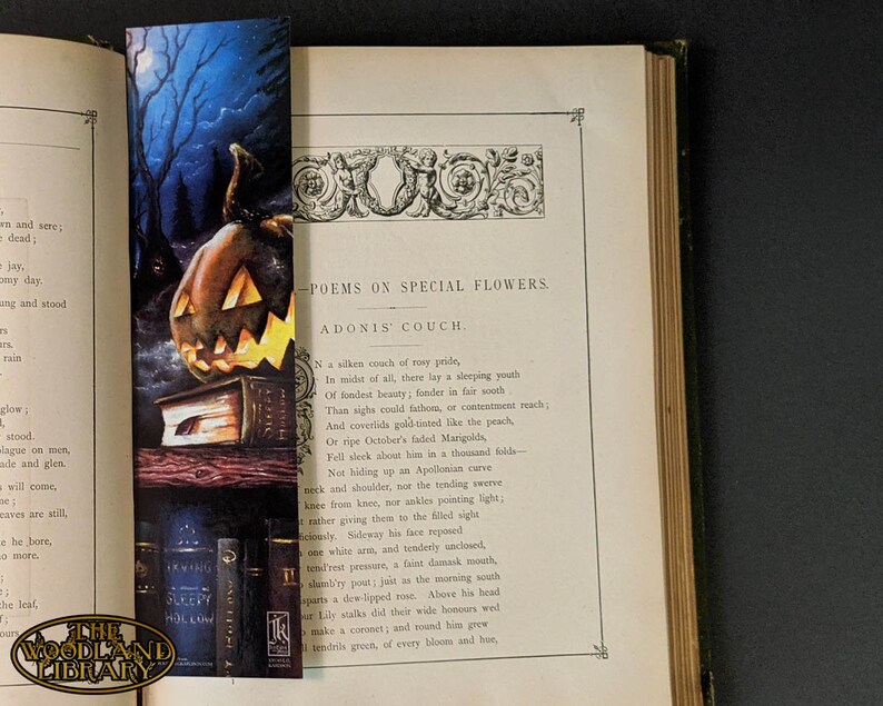 dark academia bundle 1 authors bookshelf print and 4 etsy