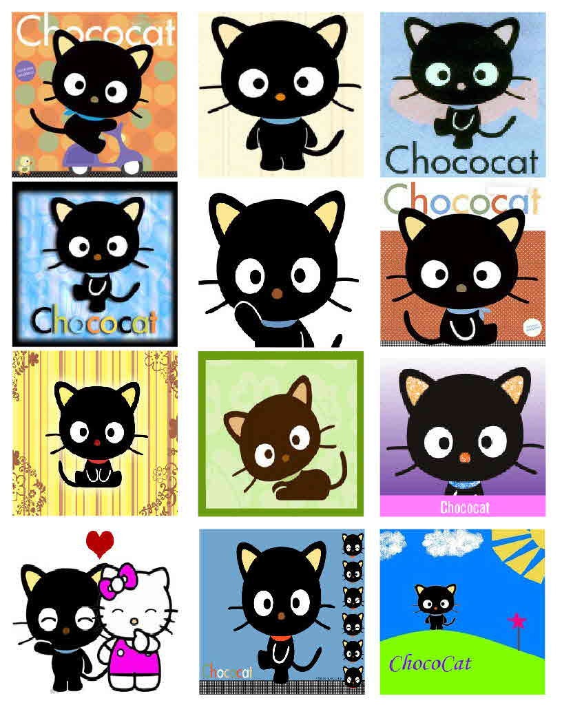 CHOCOCAT magnets, 12 - Glossy