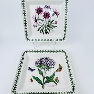 Portmeirion Botanic Garden Quadratische 8,5-Zoll-Salatteller 2er-Set ~ Englischer Garten Geschirr ~ Geschirrspüler Ofen zu Tisch Gefrierschrank Mikrowellenfest