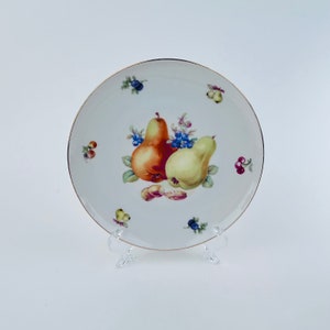 Collectible Vintage Bavarian Porcelain Schumann Arzberg Fruit Plate - West Germany Porcelain