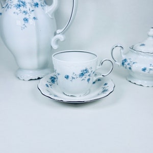 Bavarian Porcelain Johann Haviland Blue Garland Tea Coffee Mug Cup Saucer Set ~ Vintage German Porcelain Dinnerware ~ Made in Germany