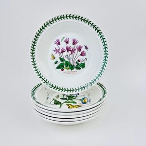 Portmeirion Botanic Garden Suppenschüsseln Teller 6er Set ~ Englisches Gartengeschirr ~ Geschirr ~ Spülmaschine Ofen zu Tisch