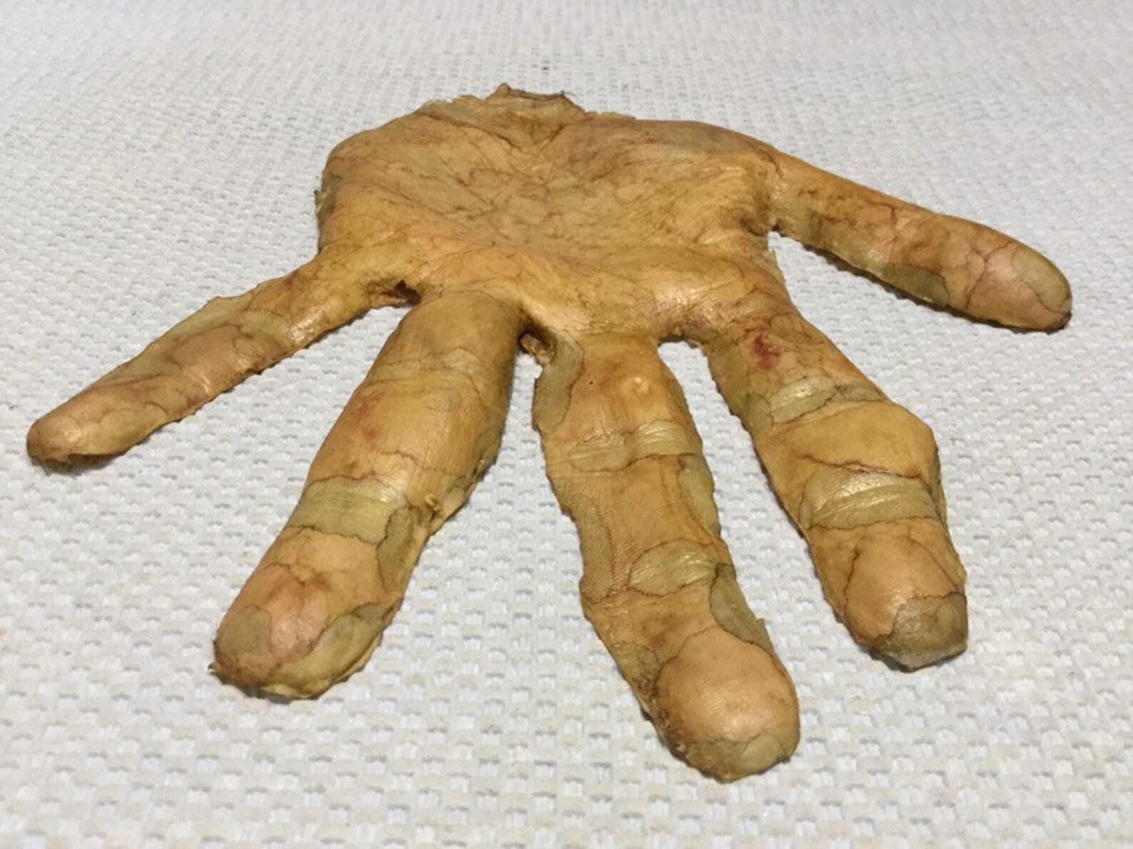 Severed hand skin Etsy