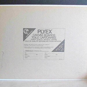 May include: A brown canvas board with a white label that reads "PLYEX Canvas Boards Toile Cartonee Finest Quality Artists' Canvas Toile de Qualite Superieure Pour Artistes" and includes the dimensions 16" x 20" (40.6 x 50.8 cm).