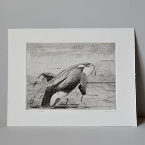 Puede incluir: Un grabado en blanco y negro de una orca saltando fuera del agua. La orca está de perfil, con la boca abierta y la aleta dorsal visible. El fondo es un patrón simple y rayado que sugiere el agua.