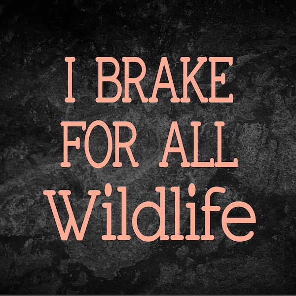I Brake For All Wildlife Decal Caution Decal Caution Brake for ALL Wildlife Decal Wildlife Sticker Car Decal Four Wheeler Decal Nature Decal