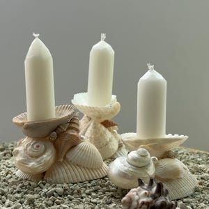 May include: Three white pillar candles are each set into a base constructed from various natural seashells. The shells are arranged in clusters to form sturdy holders, featuring a mix of spiral, fan, and smooth textures in shades of cream and tan.
