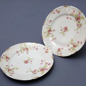May include: Two white porcelain plates with a floral design. The plates have a scalloped edge with gold trim. The floral pattern features pink roses and green leaves. One plate is round, and the other is oval.