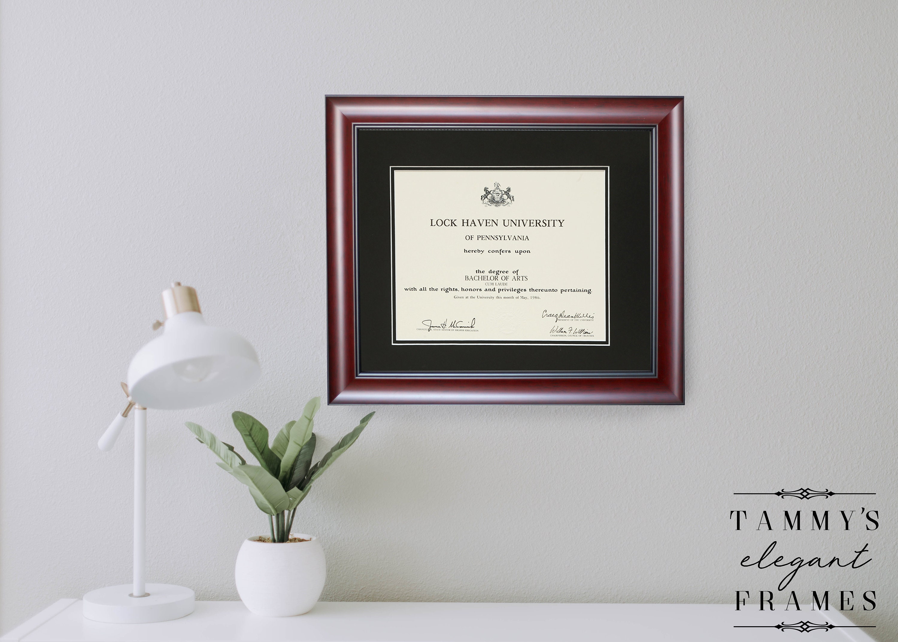 11x14 diploma sale frame