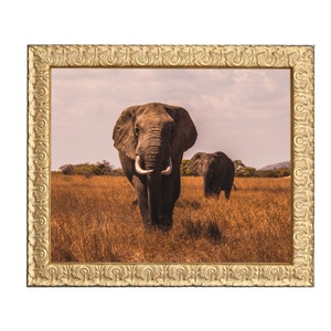 Ornate GOLD or SILVER picture frame, Photo Frames, Vintage Wall frames, Antique poster Frames, custom odd size, 8x10, 11x14, 16x20, 18x24