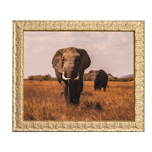 Antique Gold Picture Frame, Ornate Photo Frames, Custom size frames, Home Wall Décor, Square 8x8, 12x12, Sizes in 5x7, 8x10, 11x14, 16x20