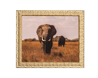 Antique Gold Picture Frame, Ornate Photo Frames, Custom size frames, Home Wall Décor, Square 8x8, 12x12, Sizes in 5x7, 8x10, 11x14, 16x20