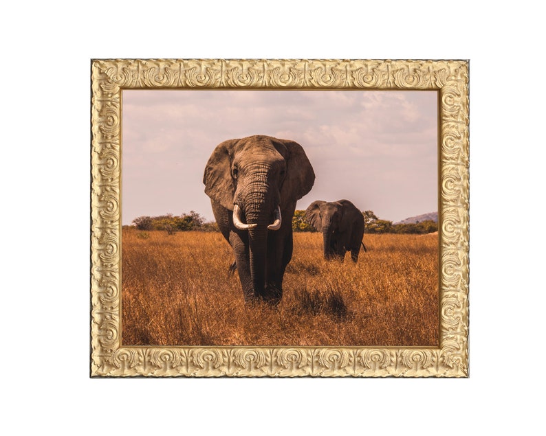 Antique Gold Picture Frame, Ornate Photo Frames, Custom size frames, Home Wall Décor, Square 8x8, 12x12, Sizes in 5x7, 8x10, 11x14, 16x20 image 1