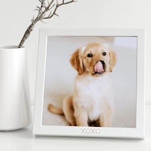May include: White picture frame with a photo of a golden retriever puppy sticking its tongue out. The frame has the word "XOXO" printed on the bottom.