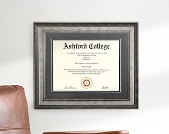 Modern Silver Diploma Frame, Professional Frame for College Degree, 2026 Senior Graduate Gift, Frame for Doctorate Degree